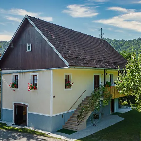 Kolpa Zupancic Vineyard